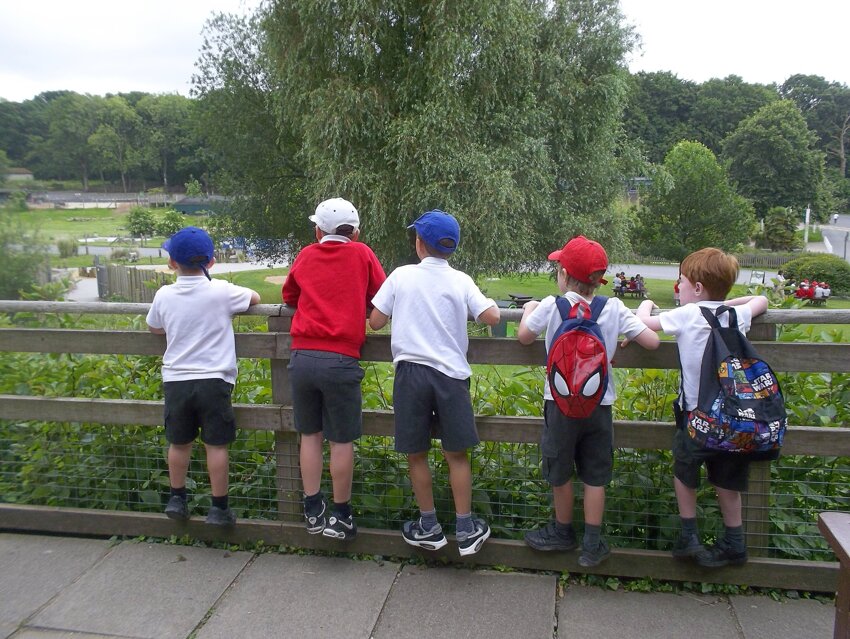 Image of Year 1 visit Marwell Zoo