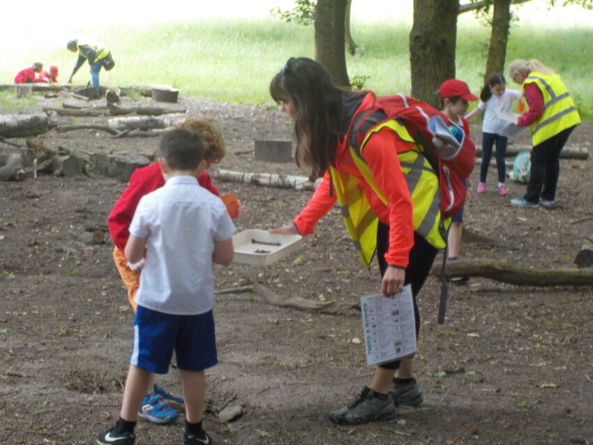 Image of Painshill Park, Cobham had a visit from Year 2 this week