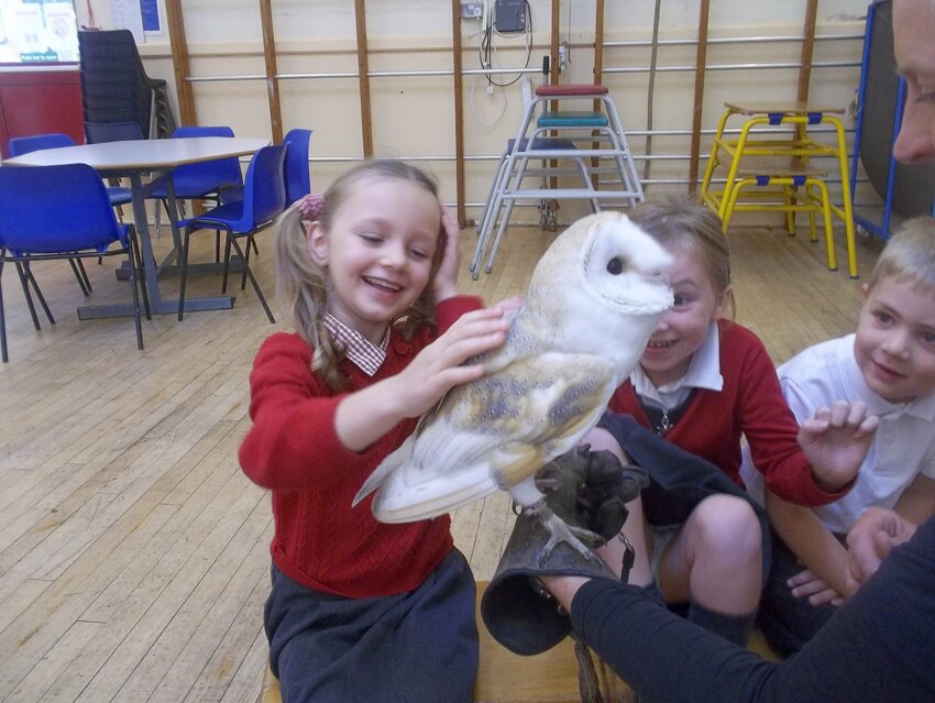 Image of Owls come to visit Year 1